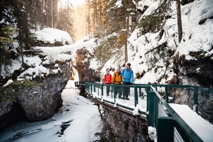 Discover Banff: Johnston Canyon Icewalk Tour