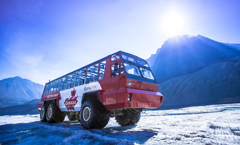 Full-Day Icefields Parkway Tour