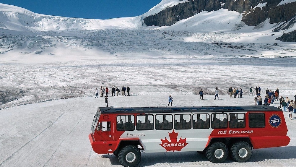 Full-Day Icefields Parkway Tour