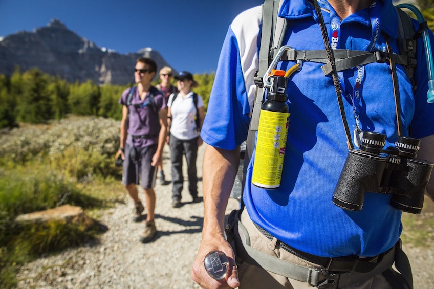 Signature Guided Hikes in the Canadian Rockies