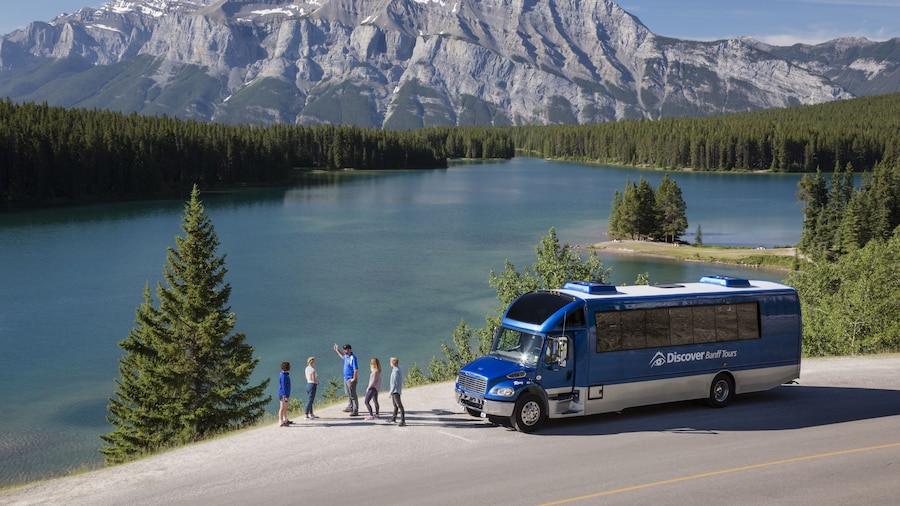 Wildlife & History Tour of Banff