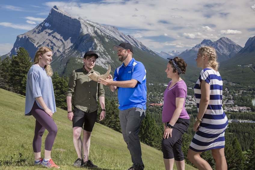 Wildlife & History Tour of Banff