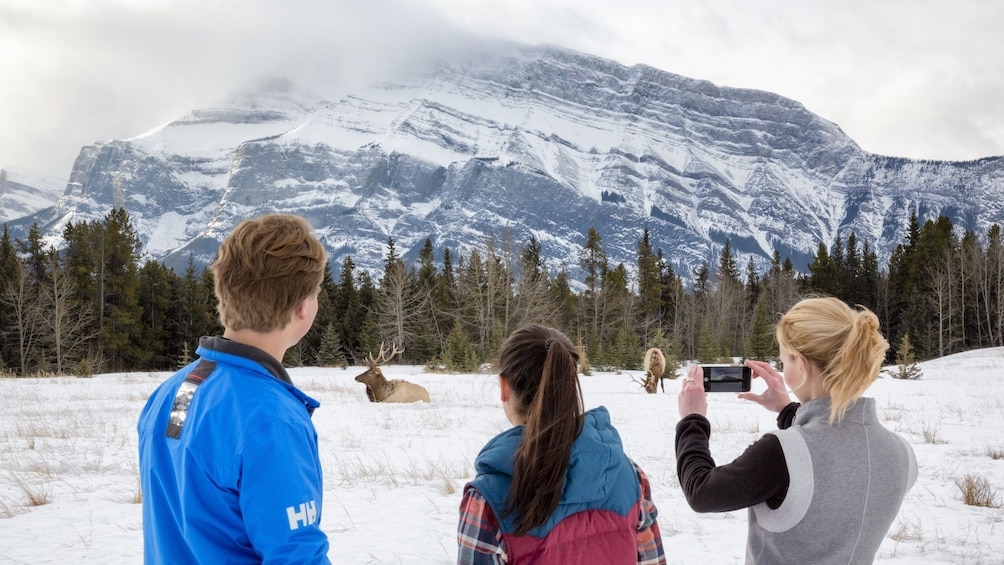 Wildlife & History Tour of Banff