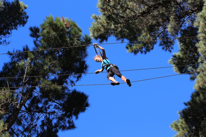 Show item 5 of 10. Adrenalin Forest Auckland Adventure Park