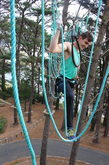 Show item 4 of 10. Adrenalin Forest Auckland Adventure Park