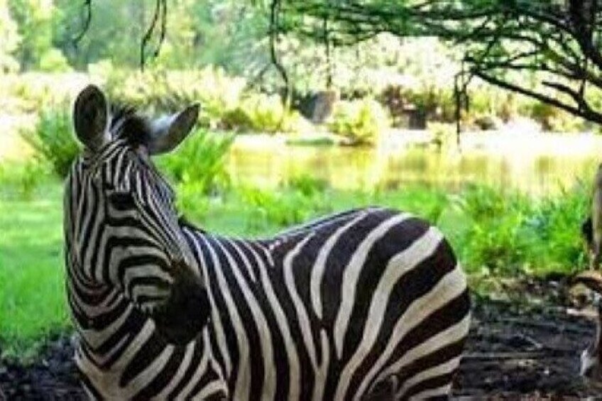 Full day tour in Mombasa