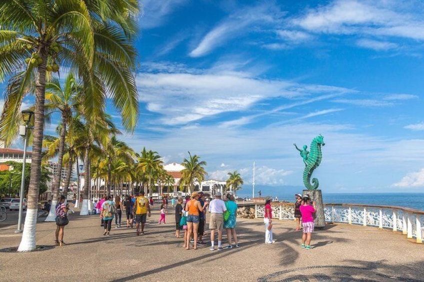 private tour guide puerto vallarta