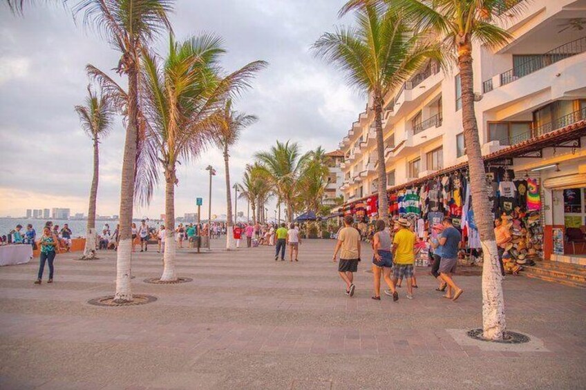 Puerto Vallarta Art Tour