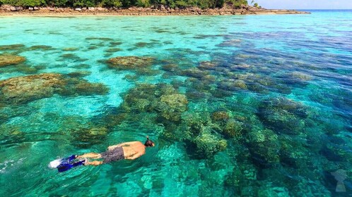 Surin Islands Snorkelling Trip from Khao Lak