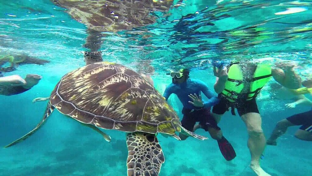 Surin Islands Snorkeling Trip from Khao Lak