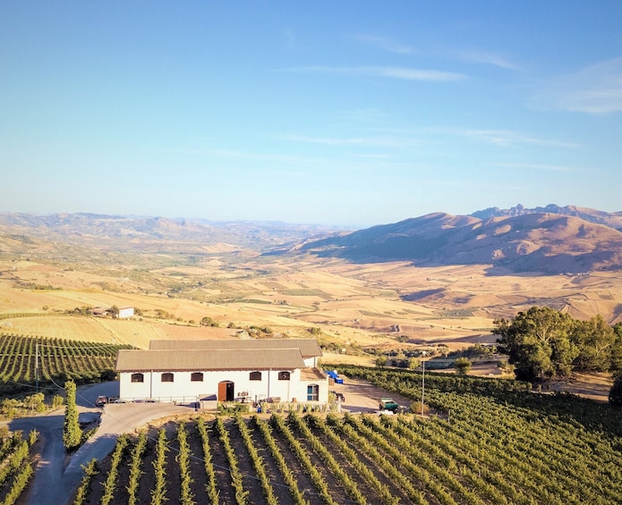 Guided Vineyard & Winery Tour - 3 Organic Wine Tasting