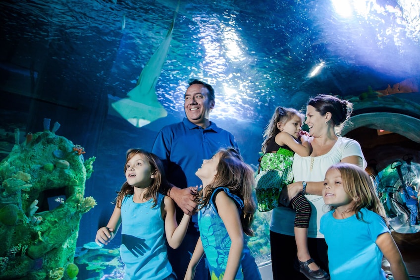 SEA LIFE Arizona Aquarium Tickets