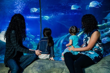 亚利桑那海洋生物水族馆门票