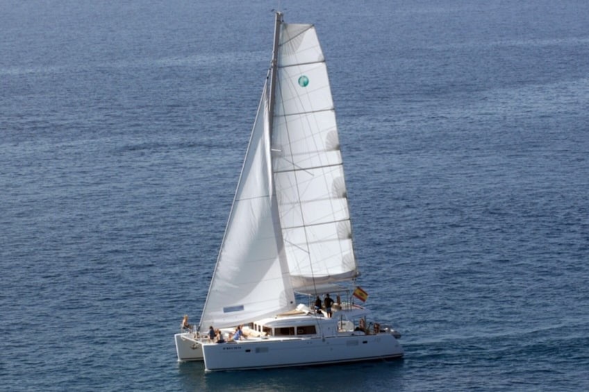 VIP Sailing Cruise by a Deluxe Catamaran