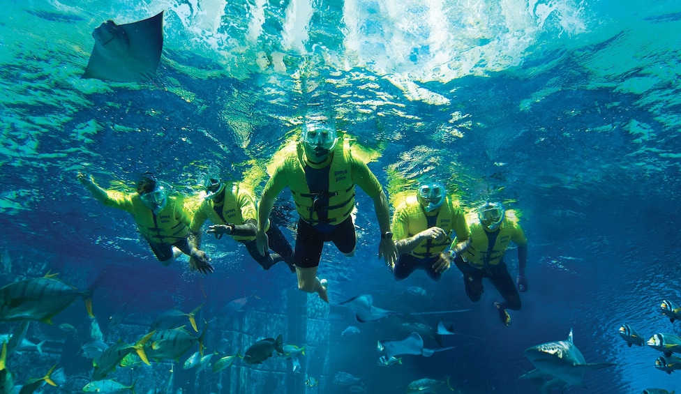 Group snorkels in Dubai