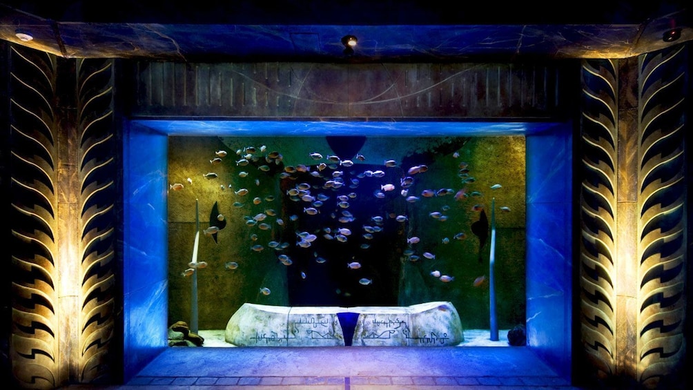 Diving and Snorkel Experiences at Atlantis