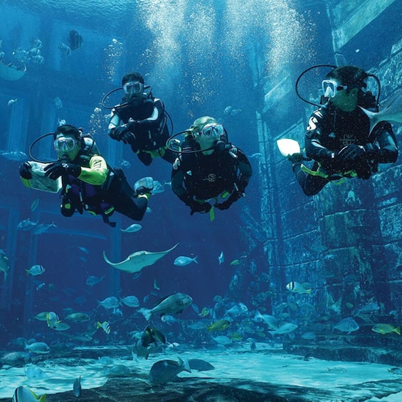 Diving and Snorkel Experiences at Atlantis