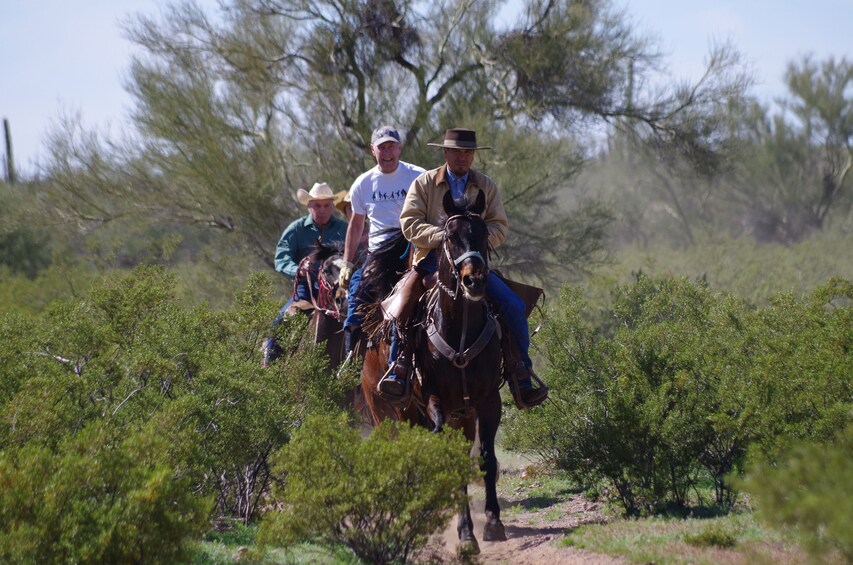 Tucson Attractions Savings Passport