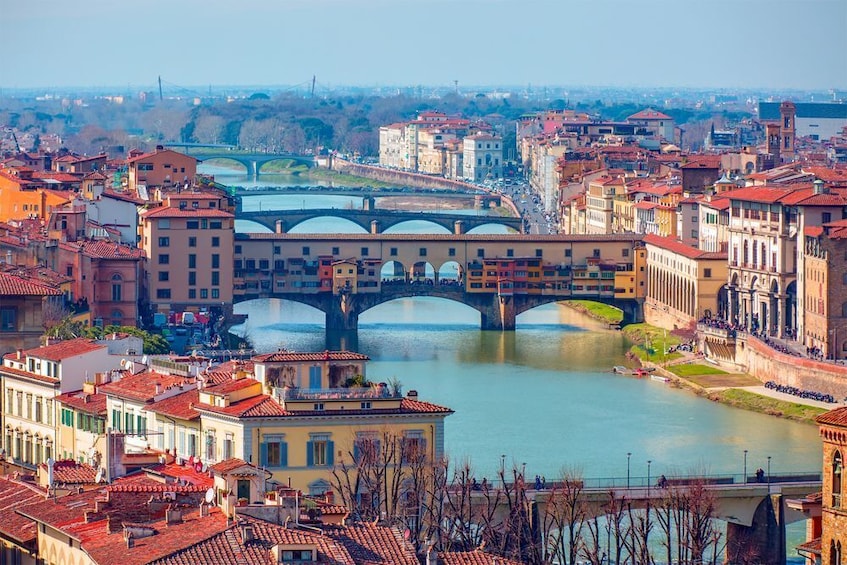 Private Shore Excursion from Livorno port: Florence and Pisa