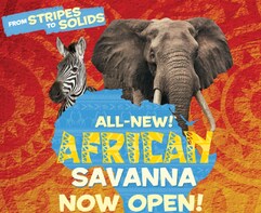 Zoo Atlanta