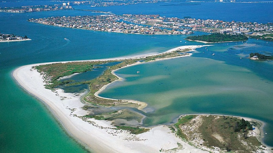 Shell Key Island bird's eye view