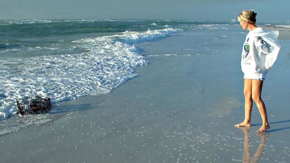 Show item 3 of 8. Woman walking along the shore of Shell Key Island