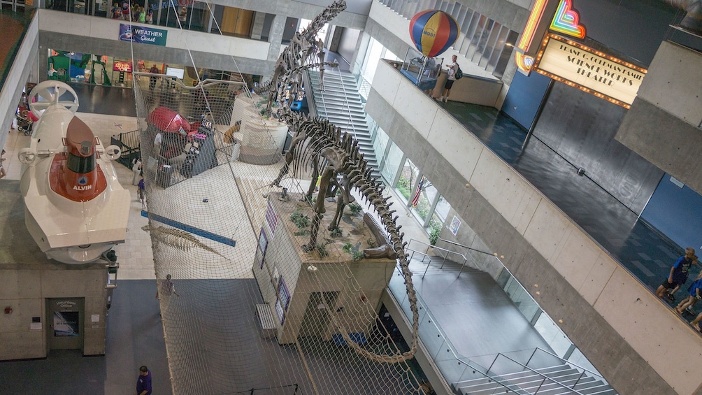 Recreational area within the Museum of Science and Industry in Tampa Bay, Florida