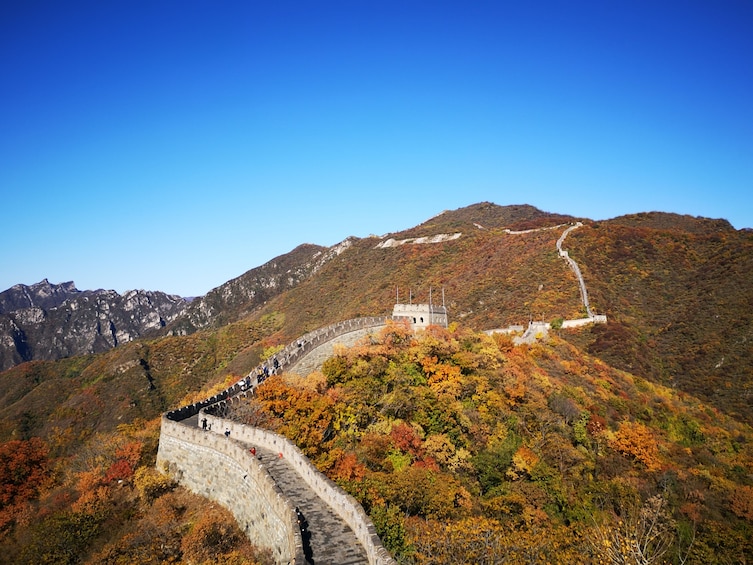 Beijing Multi Days Tours - 2 or 3 Days Combined Tours