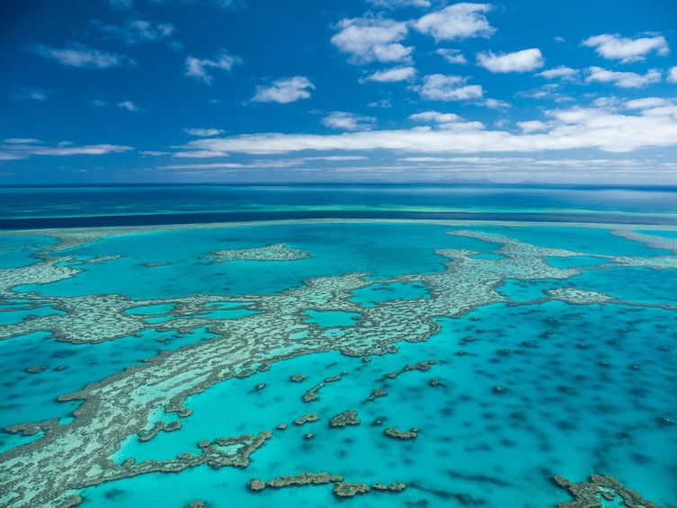 Great Barrier Reef Day Cruise to Reefworld