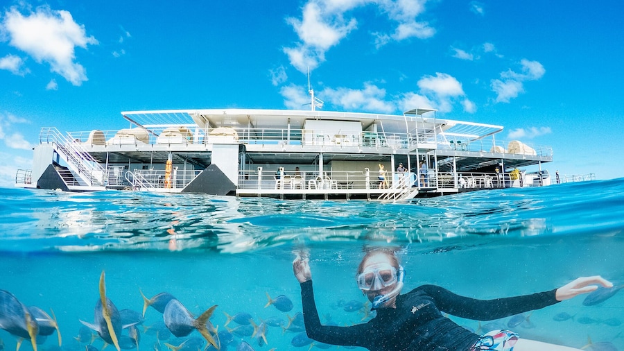 Great Barrier Reef Day Cruise to Reefworld