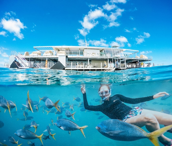 Great Barrier Reef Day Cruise to Reefworld