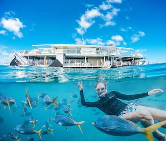 Äventyr vid Stora Barriärrevet till Reefworld