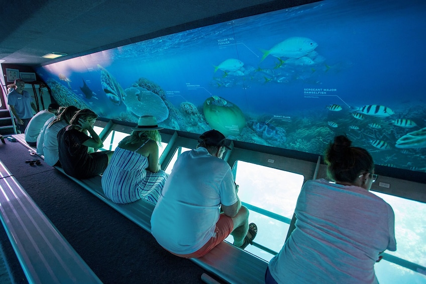 Great Barrier Reef Day Cruise to Reefworld