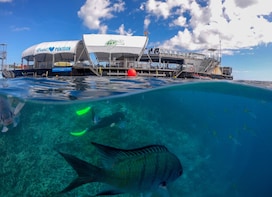 Great Barrier Reef Day Cruise to Reefworld
