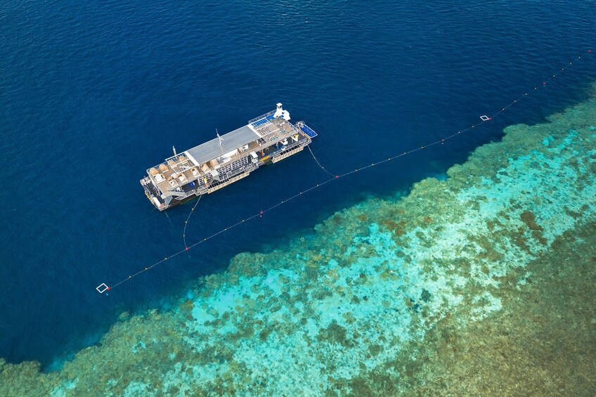 Great Barrier Reef Day Cruise to Reefworld