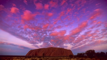 Uluru Adventure Day Tour from Alice Springs