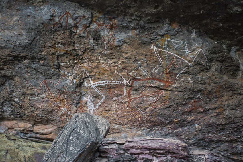 Kakadu National Park Explorer Tour from Darwin