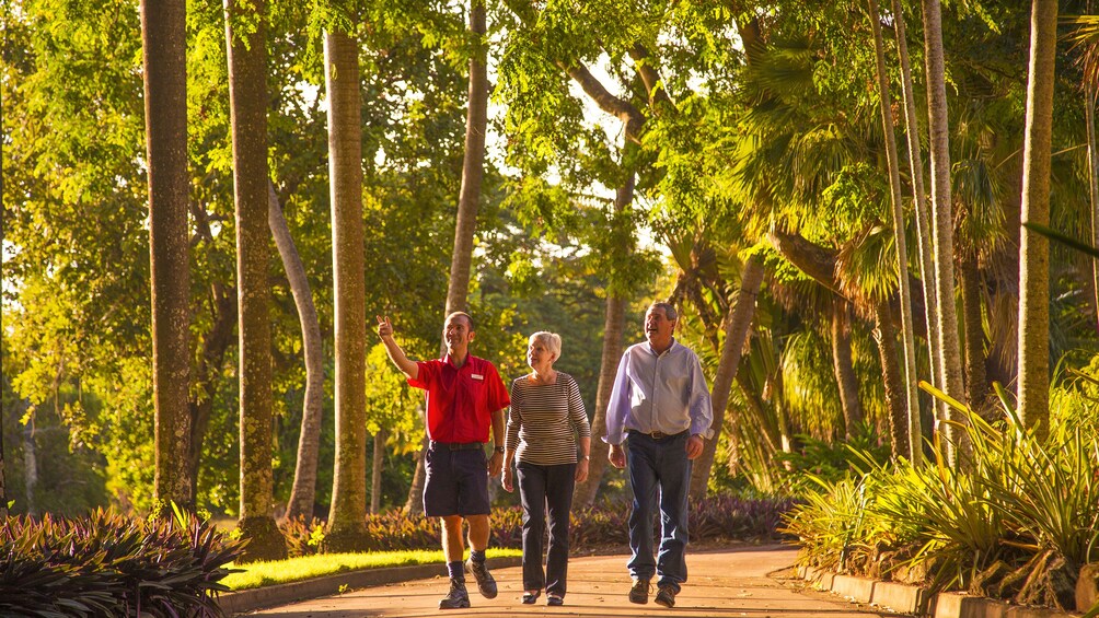 garden walk in darwin