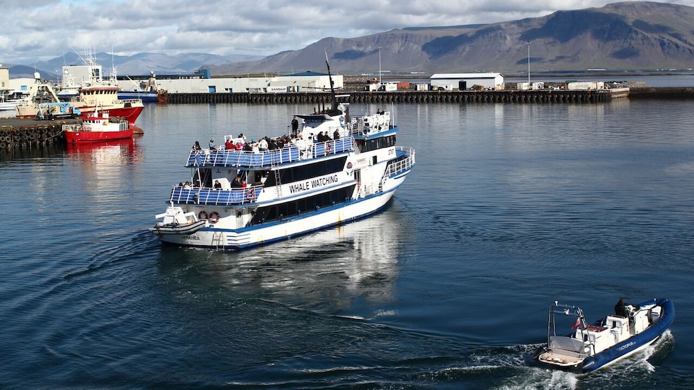 tour boat near dock 