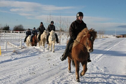 Horse Riding & Golden Circle Full-Day Tour