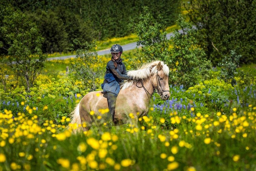 Horse Riding & Golden Circle Full-Day Tour