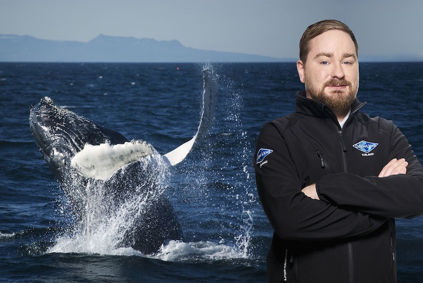 Show item 1 of 9. Whale Watching & Golden Circle Full-Day Tour