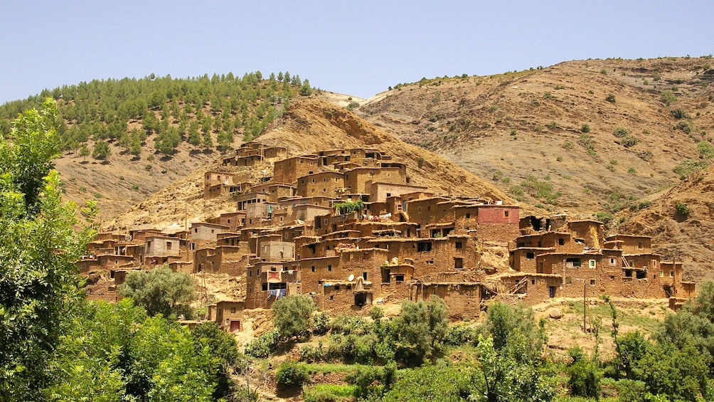 Hillside town surrounded by trees in Marrakech