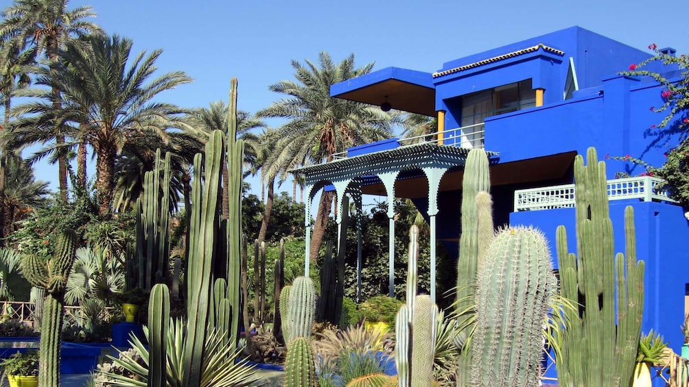 Vibrant blue building of the Islamic Art museum nestled in the Majorelle Garden in Marrakech