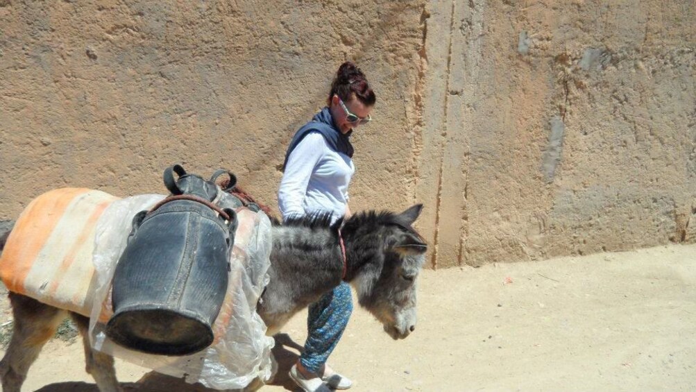 Woman leading a donkey in a Berber Village in Morocco