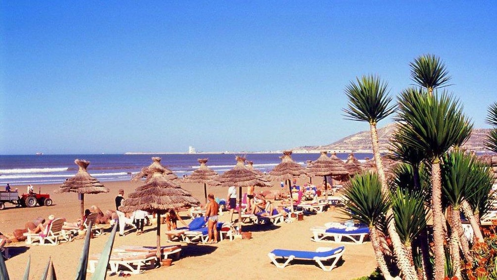 Beachgoers relax in chaise lounges with umbrellas on a beach in Agadir