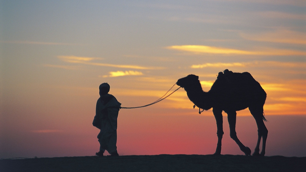 Silhouette of a man leading a camel at sunset in Marrakech