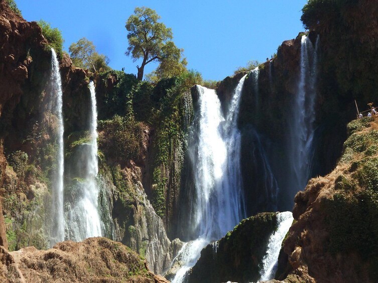 The Magnificent Ouzoud Waterfalls Full-Day Tour