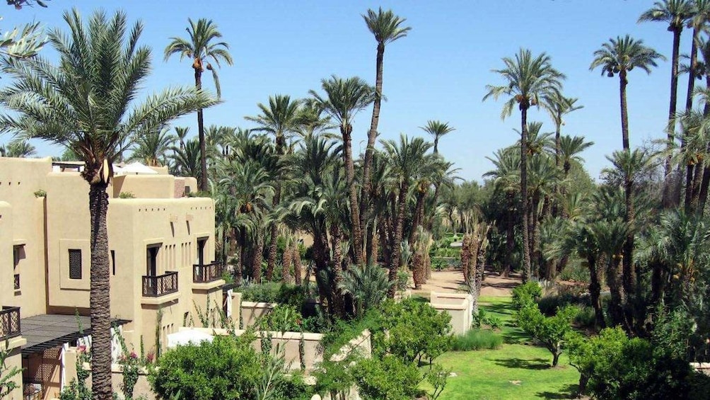 Building nestled in a palm grove in Marrakech