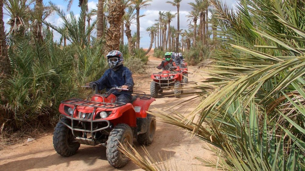 Quad-biking group on a path through a palm grove in Marrakech